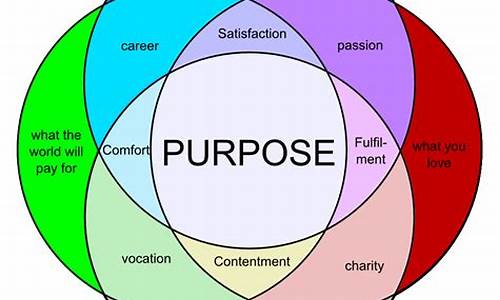 purpose_purpose什么意思