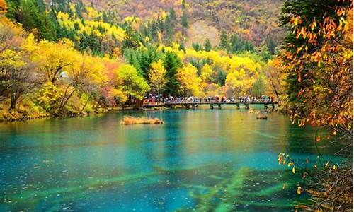 九寨沟里面有什么景点_九寨沟里面有什么景