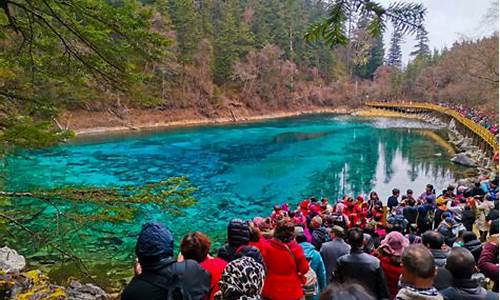 成都九寨沟当地旅游团_成都九寨沟当地旅游