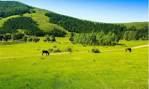 承德木兰围场天气预报_承德木兰围场天气预