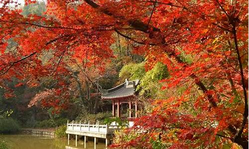 南京栖霞山风景区介绍_南京栖霞山风景区介