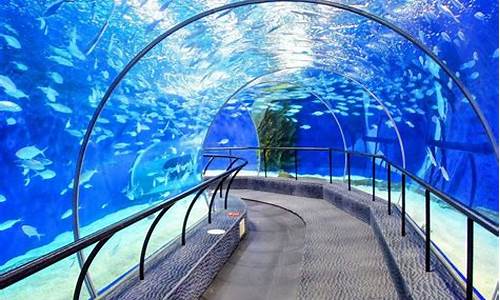 上海海洋水族馆需要预约吗_上海海洋水族馆