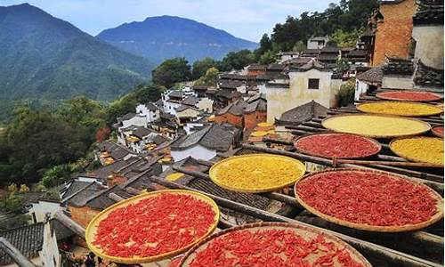 婺源景区最好玩的地方_婺源景区最好玩的地方篁岭多少价