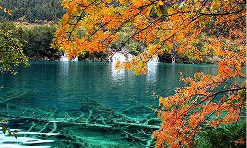 四川九寨沟有哪些景点_四川九寨沟有哪些景点介绍